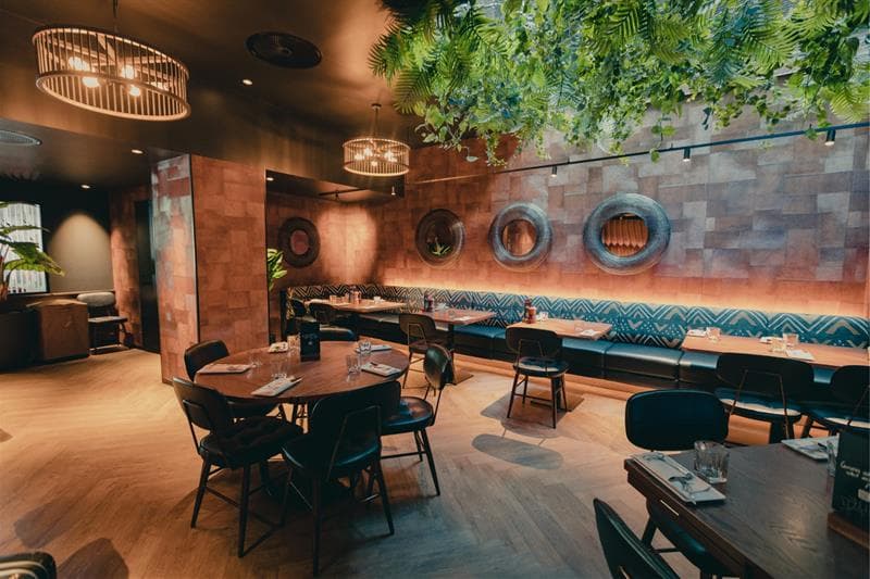 The restaurant, warm tones, greenery hangig from the ceiling