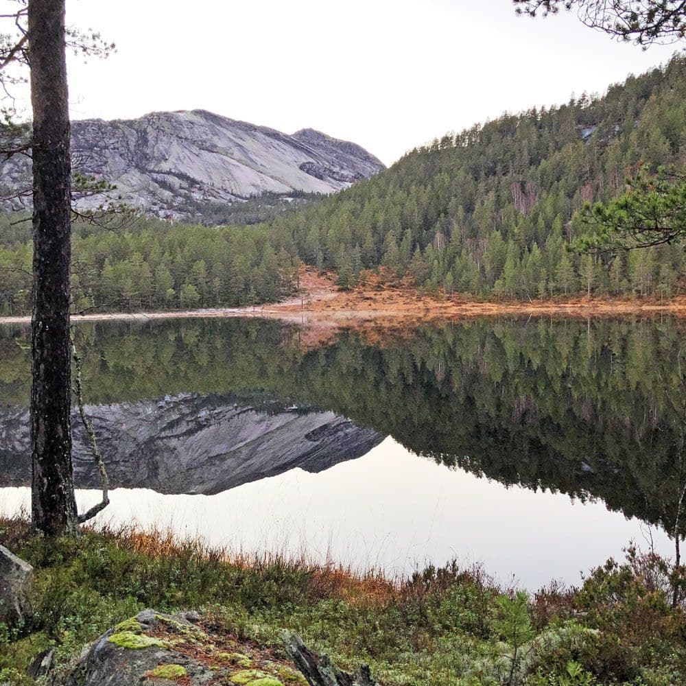 Frå-Presttjønn_CAasheim_web