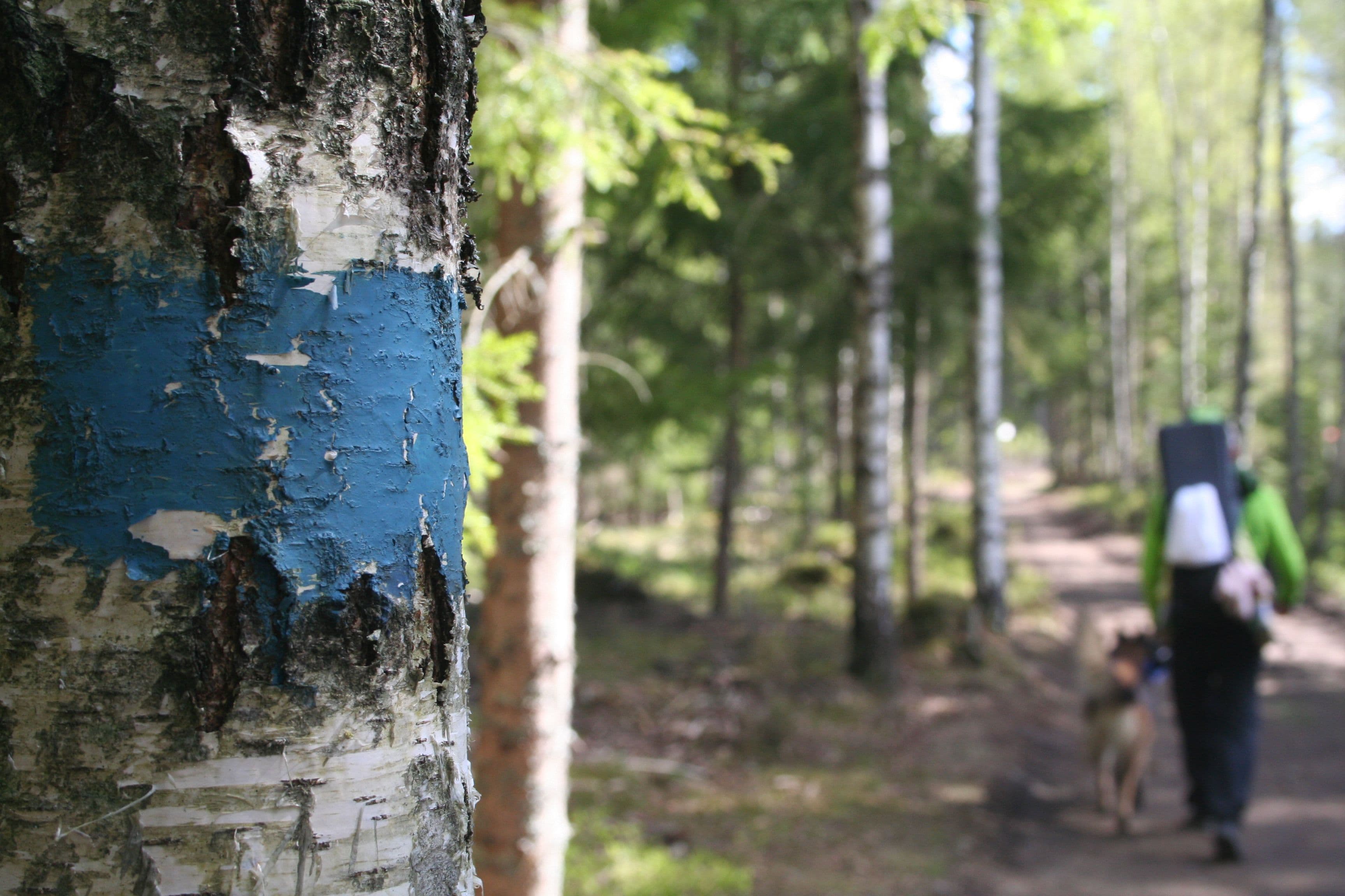 Turperler - Skimtefjell