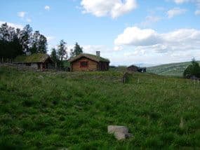 Selet oversikt ute sommar